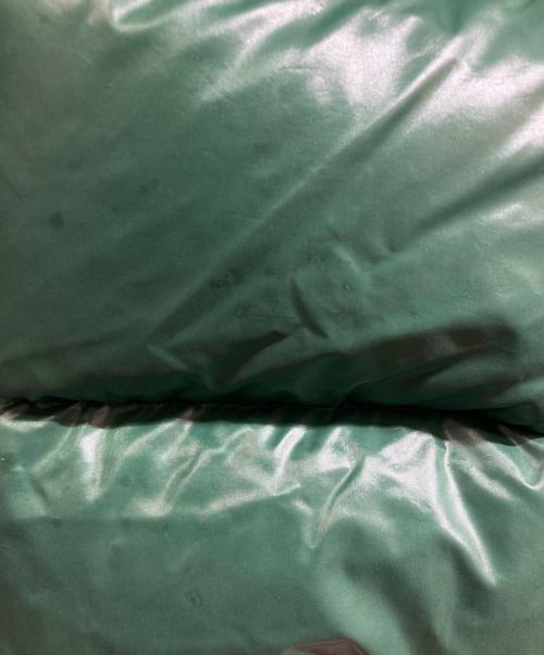 MONCLER（モンクレール）MONCLER (モンクレール) EVEREST ダウンジャケット グリーン サイズ:2の古着・服飾アイテム