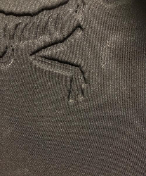 ARC'TERYX（アークテリクス）ARC'TERYX (アークテリクス) Arro 22 Backpack ブラックの古着・服飾アイテム