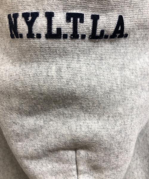 Champion REVERSE WEAVE（チャンピオン リバース ウィーブ）Champion REVERSE WEAVE (チャンピオン リバース ウィーブ) stussy (ステューシー) プルオーバーパーカー グレー サイズ:Mの古着・服飾アイテム