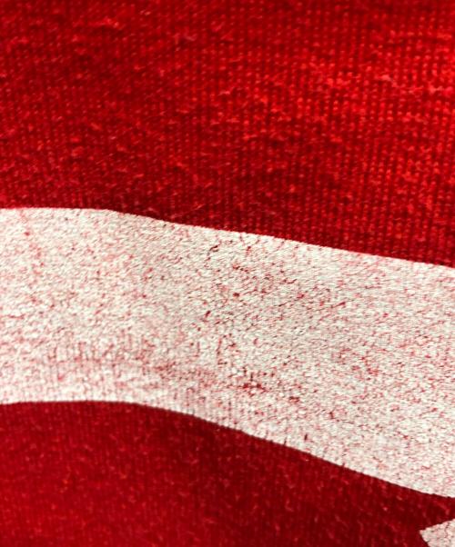 RUSSELL ATHLETIC（ラッセルアスレチック）RUSSELL ATHLETIC (ラッセルアスレチック) プルオーバーパーカー レッド サイズ:XLの古着・服飾アイテム