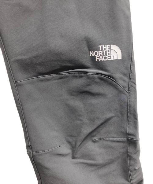 THE NORTH FACE（ザ ノース フェイス）THE NORTH FACE (ザ ノース フェイス) アルパインライトパンツ グレー サイズ:Mの古着・服飾アイテム