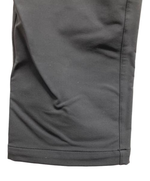 THE NORTH FACE（ザ ノース フェイス）THE NORTH FACE (ザ ノース フェイス) アルパインライトパンツ グレー サイズ:Mの古着・服飾アイテム