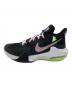 NIKE (ナイキ) ローカットスニーカー ブラック サイズ:US10：5000円