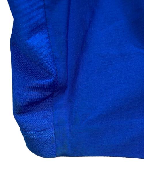 ARC'TERYX（アークテリクス）ARC'TERYX (アークテリクス) ATOM SL HOODY ブルー サイズ:Lの古着・服飾アイテム