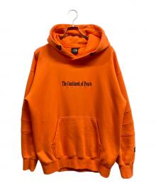 THE NORTH FACE（ザ ノース フェイス）の古着「Trans Antarctica Hoodie」｜オレンジ