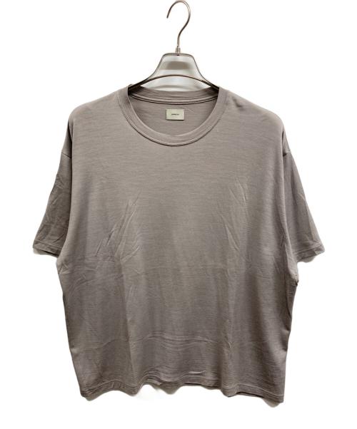 CAPERTICA（カペルチカ）CAPERTICA (カペルチカ) Super120s Washable Wool Jersey Oversized Tee グレー サイズ:3の古着・服飾アイテム