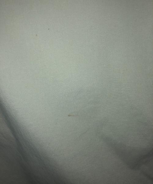 HOUDINI（フーディニ）HOUDINI (フーディニ) WADI SHORTS グリーン サイズ:Mの古着・服飾アイテム