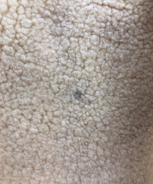 AVIREX（アヴィレックス）AVIREX (アヴィレックス) B-3 ムートンジャケット ブラウン サイズ:40の古着・服飾アイテム