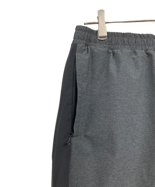 THE NORTH FACE（ザ ノース フェイス）THE NORTH FACE (ザ ノース フェイス) エイペックスフレックスパンツ グレー サイズ:Lの古着・服飾アイテム