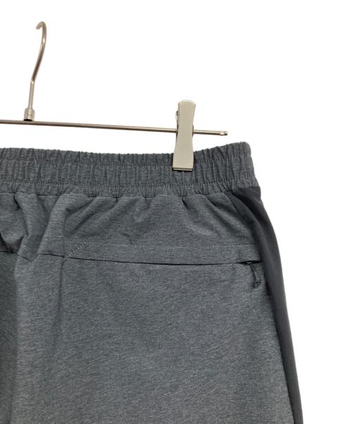 THE NORTH FACE（ザ ノース フェイス）THE NORTH FACE (ザ ノース フェイス) エイペックスフレックスパンツ グレー サイズ:Lの古着・服飾アイテム