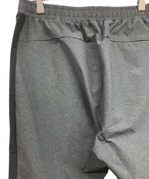 THE NORTH FACE（ザ ノース フェイス）THE NORTH FACE (ザ ノース フェイス) エイペックスフレックスパンツ グレー サイズ:Lの古着・服飾アイテム