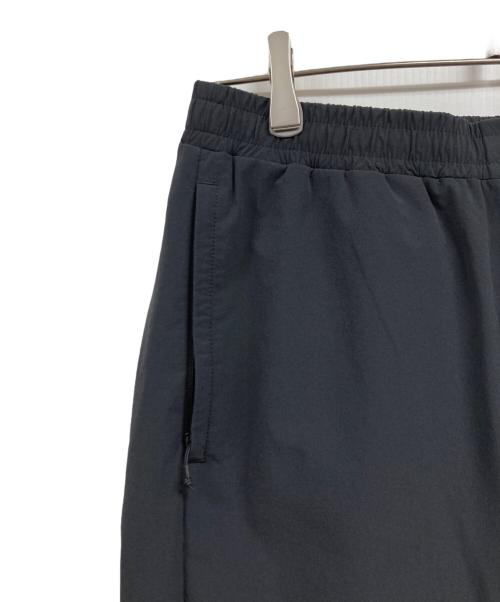 THE NORTH FACE（ザ ノース フェイス）THE NORTH FACE (ザ ノース フェイス) エイペックスフレックスパンツ ブラック サイズ:Lの古着・服飾アイテム