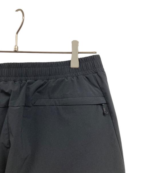 THE NORTH FACE（ザ ノース フェイス）THE NORTH FACE (ザ ノース フェイス) エイペックスフレックスパンツ ブラック サイズ:Lの古着・服飾アイテム