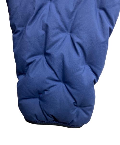 THE NORTH FACE（ザ ノース フェイス）THE NORTH FACE (ザ ノース フェイス) アストロライトジャケット/	THE NORTH FACE ブルー サイズ:XLの古着・服飾アイテム