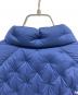 中古・古着 THE NORTH FACE (ザ ノース フェイス) アストロライトジャケット/	THE NORTH FACE ブルー サイズ:XL：13000円