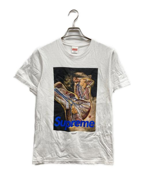 SUPREME（シュプリーム）SUPREME (シュプリーム) UNDERCOVER (アンダーカバー) 16FW ANATOMY TEE ホワイト サイズ:Sの古着・服飾アイテム