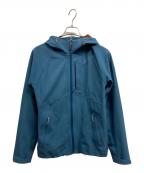 THE NORTH FACEザ ノース フェイス）の古着「APEX FLEX GTX JACKET」｜ブルー