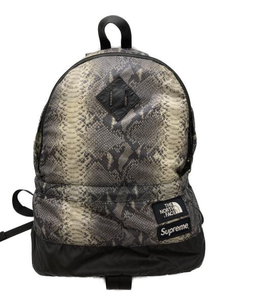 SUPREME（シュプリーム）Supreme (シュプリーム) THE NORTH FACE (ザ ノース フェイス) スネークスキン ライトウェイトデイパック グレーの古着・服飾アイテム