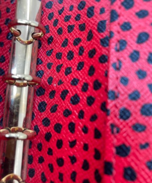 LOUIS VUITTON（ルイ ヴィトン）LOUIS VUITTON (ルイ ヴィトン) 草間彌生 (クサマヤヨイ) アジェンダPM モノグラム インフィニティードット 手帳 ブラウンの古着・服飾アイテム