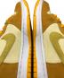 中古・古着 NIKE SB (ナイキエスビー) ダンク ハイ 