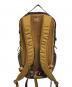 ARC'TERYX (アークテリクス) リュック ブラウン：20000円