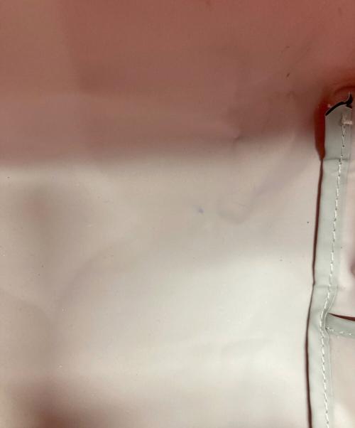 LONGCHAMP（ロンシャン）LONGCHAMP (ロンシャン) ル プリアージュ トートバッグ/LONGCHAMP ピンクの古着・服飾アイテム