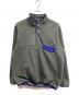 Patagonia（パタゴニア）の古着「シンチラ スナップT プルオーバー」｜グレー/ブルー