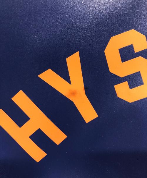 Hysteric Glamour（ヒステリックグラマー）HYSTERIC GLAMOUR (ヒステリックグラマー) DETROIT FEVER ボストンバッグ/HYSTERIC GLAMOUR ブルーの古着・服飾アイテム
