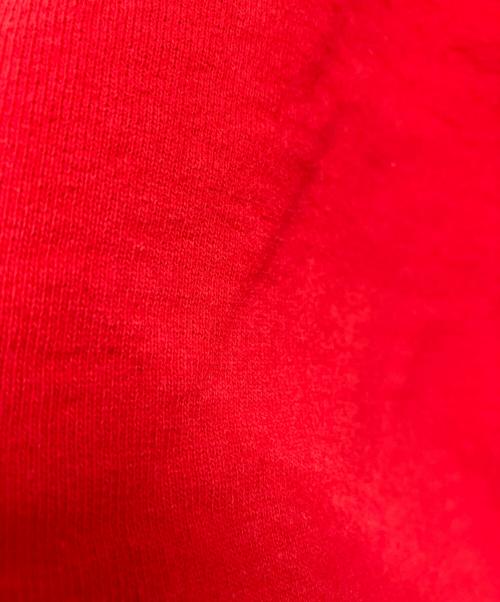 SUPREME（シュプリーム）Supreme (シュプリーム) Bling Box Logo Hooded Sweatshirt レッド サイズ:Lの古着・服飾アイテム