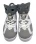 NIKE (ナイキ) Air Jordan 6 
