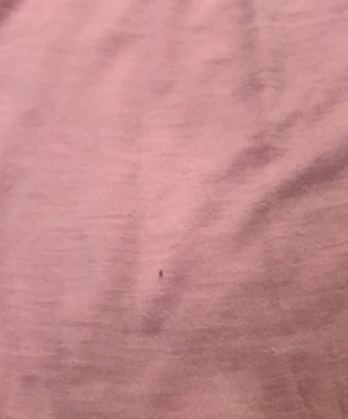 AURALEE（オーラリー）AURALEE (オーラリー) SUPER SOFT WOOL SHEER JERSEY TURTLE-TOP BEIGE ピンク サイズ:下記参照の古着・服飾アイテム