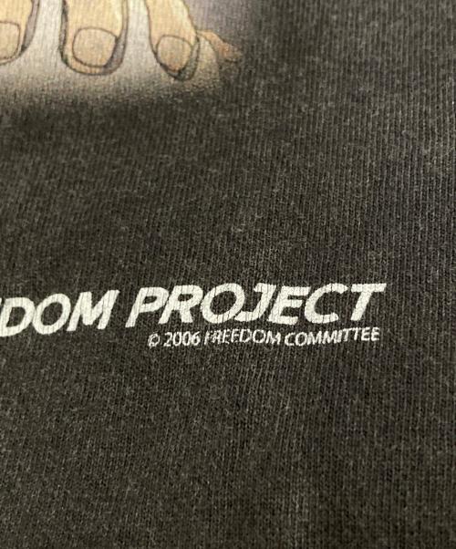 SAINT MICHAEL（セントマイケル）SAINT MICHAEL (セントマイケル) FD SS TEE FREEDOM グレー サイズ:Mの古着・服飾アイテム