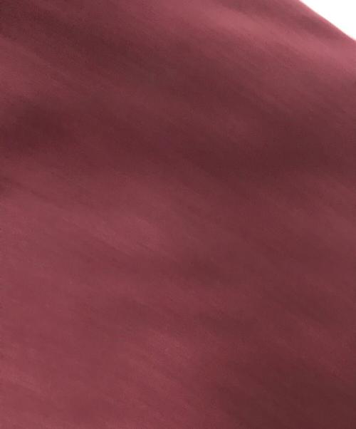 Champion REVERSE WEAVE（チャンピオン リバース ウィーブ）Champion REVERSE WEAVE (チャンピオン リバース ウィーブ) カレッジプリントパーカー ボルドー サイズ:XLの古着・服飾アイテム