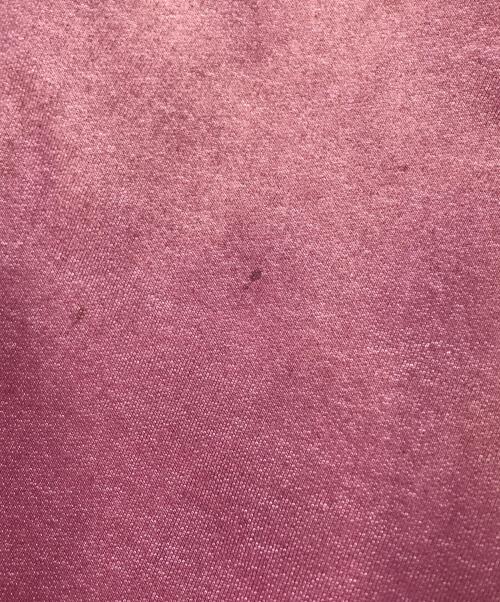 SUPREME（シュプリーム）SUPREME (シュプリーム) TRUE RELIGION (トゥルー レリジョン) Zip Up Hooded Sweatshirt レッド サイズ:XLの古着・服飾アイテム