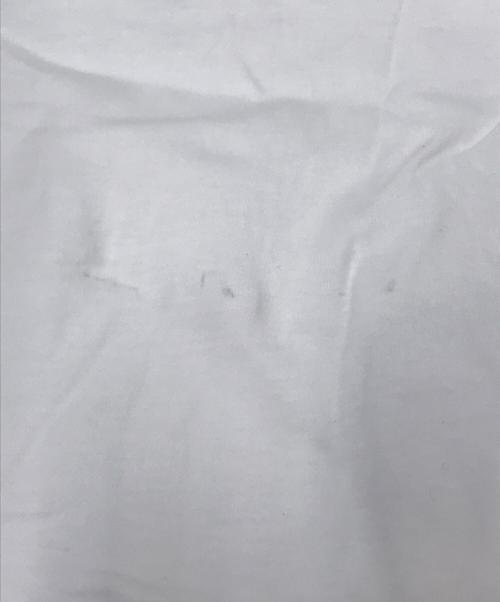 DIESEL（ディーゼル）DIESEL (ディーゼル) プリントTシャツ ホワイト サイズ:Mの古着・服飾アイテム