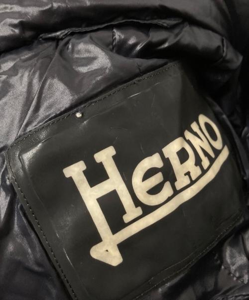 HERNO（ヘルノ）HERNO (ヘルノ) ダウンコート ネイビー サイズ:42の古着・服飾アイテム