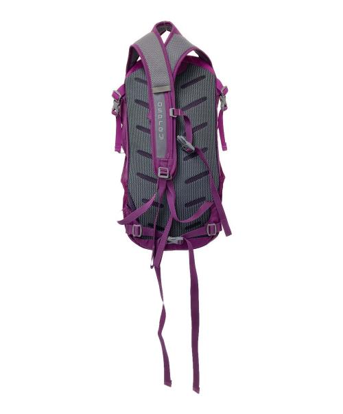 OSPREY（オスプレー）OSPREY (オスプレー) リュック ピンク サイズ:下記参照の古着・服飾アイテム