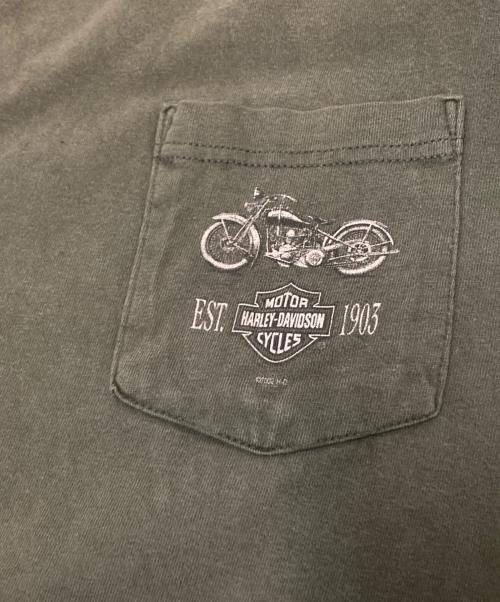 HARLEY-DAVIDSON（ハーレーダビッドソン）HARLEY-DAVIDSON (ハーレーダビッドソン) ロングスリーブカットソー グリーン サイズ:Lの古着・服飾アイテム