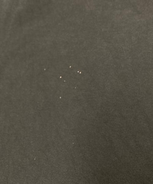 HARLEY-DAVIDSON（ハーレーダビッドソン）HARLEY-DAVIDSON (ハーレーダビッドソン) ロングスリーブカットソー グリーン サイズ:Lの古着・服飾アイテム