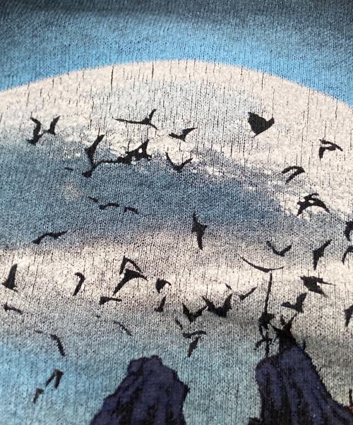 DELTA（デルタ）DELTA (デルタ) プリントTシャツ ブラック サイズ:2XLの古着・服飾アイテム