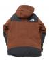 THE NORTH FACE (ザ ノース フェイス) MOUNTAIN DOWN JACKET ブラウン サイズ:M：22000円