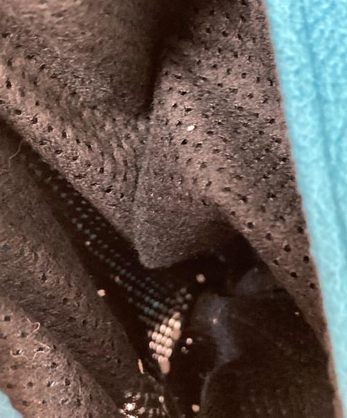 CAL O LINE（キャルオーライン）CAL O LINE (キャルオーライン) フリースベスト グリーン サイズ:Lの古着・服飾アイテム