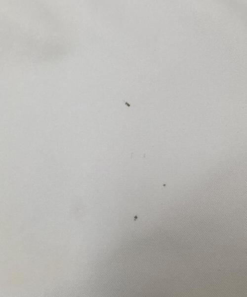 NIKE（ナイキ）NIKE (ナイキ) 90‘S-00‘Sアノラックパーカー ホワイト×ブラック サイズ:Lの古着・服飾アイテム