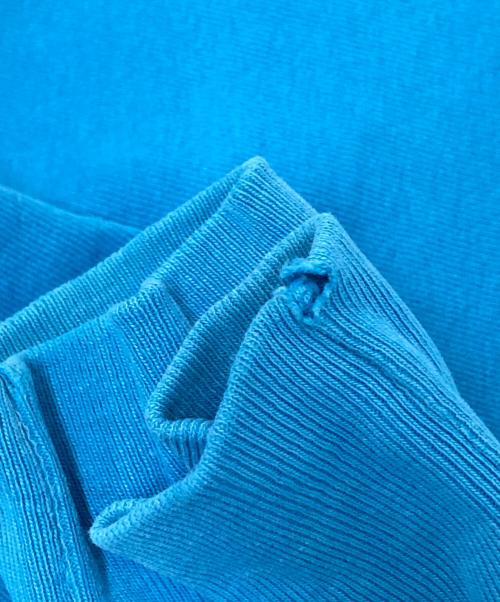 Champion REVERSE WEAVE（チャンピオン リバース ウィーブ）Champion REVERSE WEAVE (チャンピオン リバース ウィーブ) 90‘Sクルーネックスウェット ブルー サイズ:Lの古着・服飾アイテム