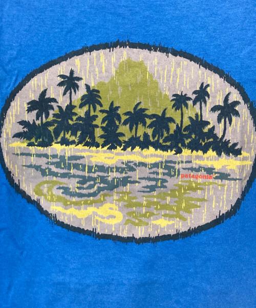 Patagonia（パタゴニア）Patagonia (パタゴニア) バックプリントTシャツ ブルー サイズ:Sの古着・服飾アイテム