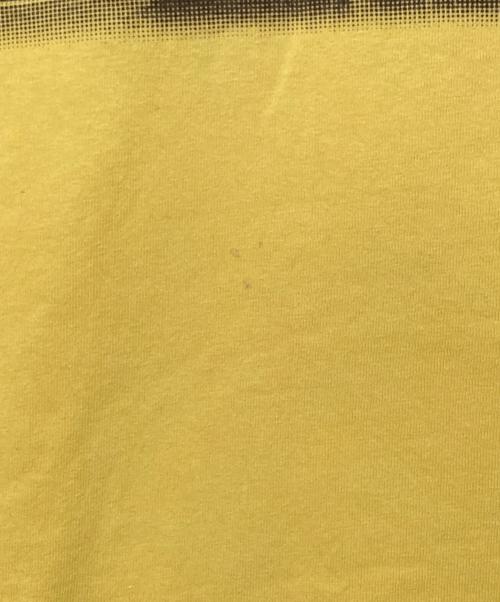 stussy（ステューシー）stussy (ステューシー) フォトプリントTシャツ イエロー サイズ:Lの古着・服飾アイテム
