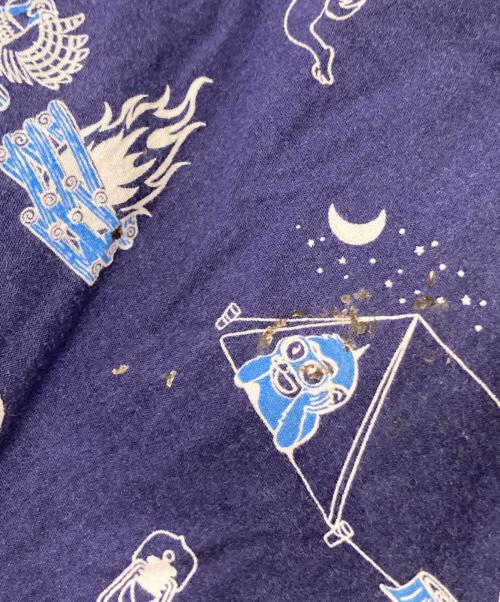 MOMOTARO JEANS（桃太郎ジーンズ）MOMOTARO JEANS (桃太郎ジーンズ) 桃太郎柄ハワイアンシャツ ブルー サイズ:40の古着・服飾アイテム