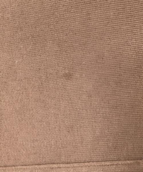 Champion REVERSE WEAVE（チャンピオン リバース ウィーブ）Champion REVERSE WEAVE (チャンピオン リバース ウィーブ) フーデッドスウェットシャツ ブラウン サイズ:XLの古着・服飾アイテム