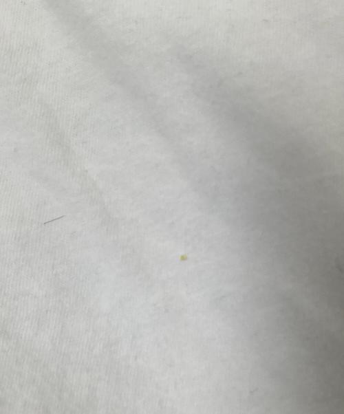 THE BEACH BOYS（ザ ビーチ ボーイズ）THE BEACH BOYS (ザ ビーチ ボーイズ) 90‘SプリントTシャツ ホワイト サイズ:XXLの古着・服飾アイテム