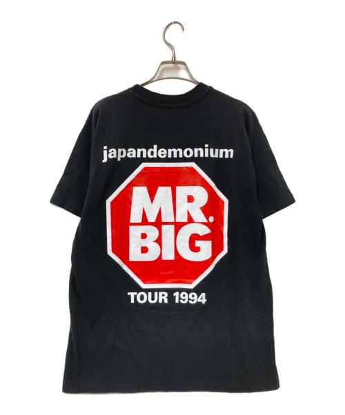 Hanes（ヘインズ）Hanes (ヘインズ) 90‘SバンドTシャツ ブラック サイズ:Lの古着・服飾アイテム